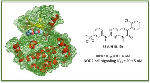 RIPK2激酶参与多种慢性炎症，UH15-15抑制RIPK2激酶并具有良好的体外ADME和PK特性，PK研究通过云顶yd222线路检测进行