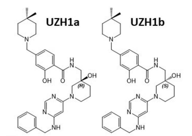 研究人员报告了一种具有细胞渗透性的选择性METTL3纳摩尔抑制剂UZH1a，作者感谢云顶yd222线路检测合成了UZH1a和UZH1b