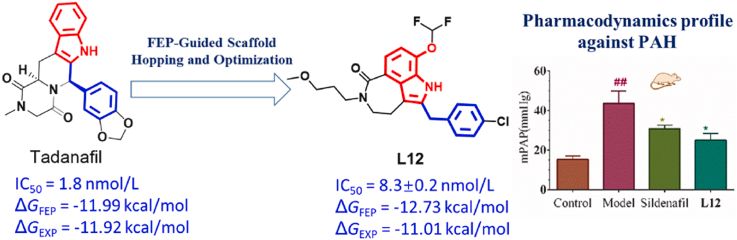 药物发现中的挑战之一是识别高质量的先导化合物。此研究中PK结果表明L12可作为针对PDE5的先导化合物，进一步研究和开发。L12的PK分析通过云顶yd222线路检测进行