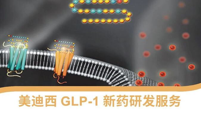 “GLP-1”新药研发服务平台.jpg