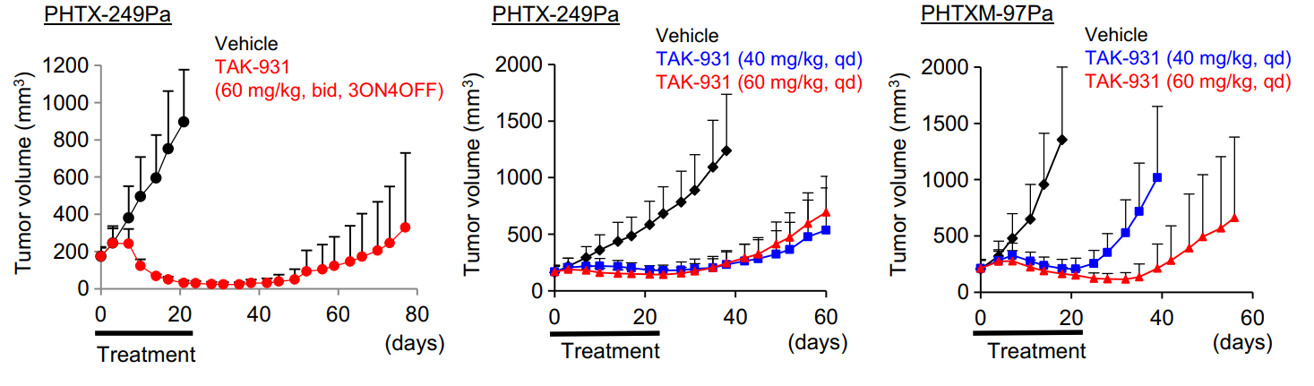 TAK-931是一种高效的CDC7抑制剂，通过抑制CDC7来抑制DNA复制，具有抗肿瘤功效，体内药效研究通过云顶yd222线路检测进行